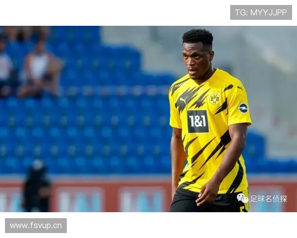 厄德高生涯个人表现与团队成绩评估